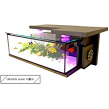 Aquarium sur table basse