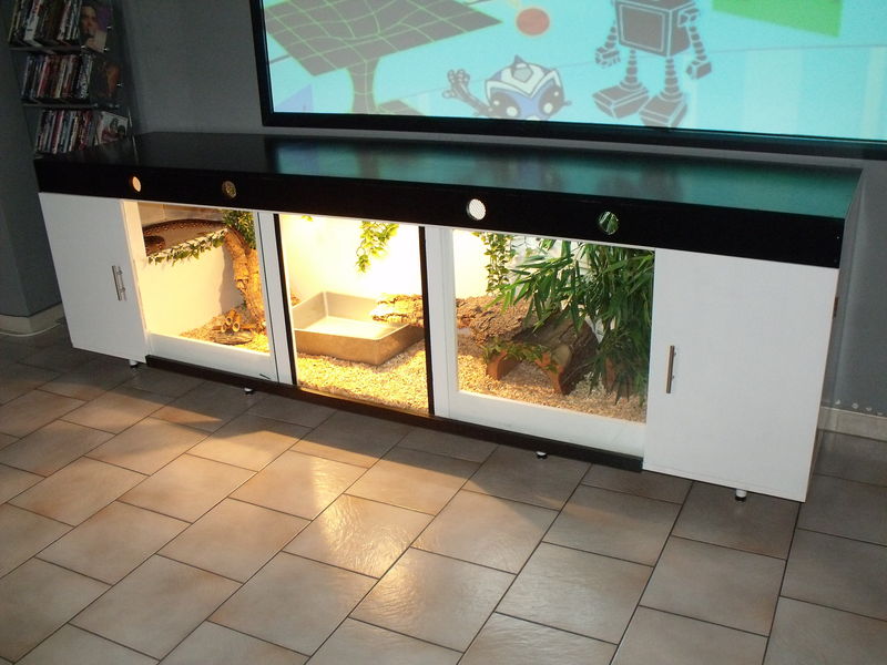 Table basse terrarium