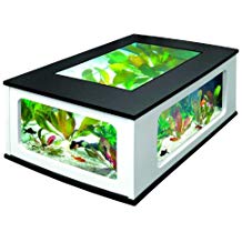 Table basse style aquarium