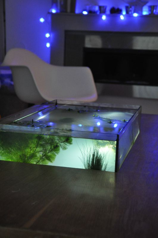 Table basse aquarium fait maison