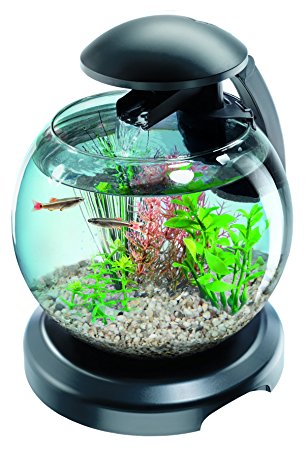 Grande table basse aquarium
