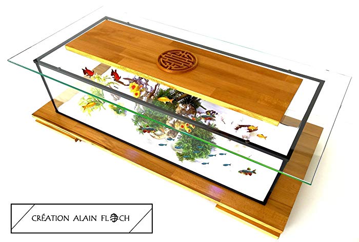 Table basse aquarium toulouse