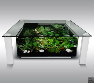 Table basse d'aquarium