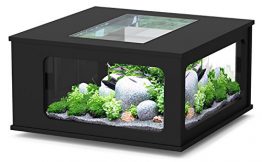 Ou trouver une table basse aquarium