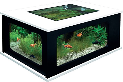 Aquarium table basse de salon aquatlantis