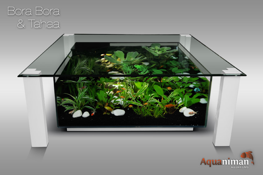 Table basse aquarium eau chaude