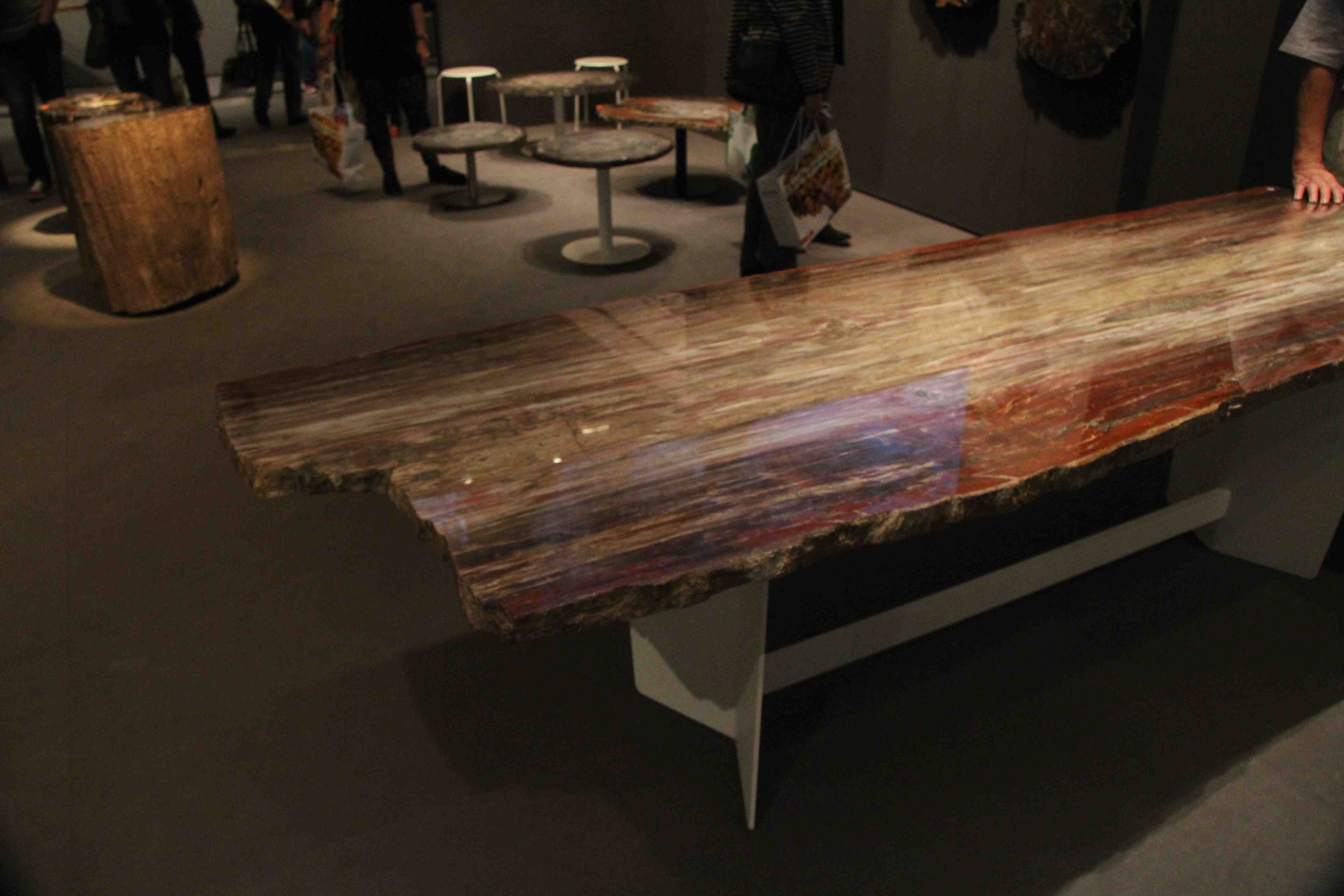 Bois pétrifié table basse
