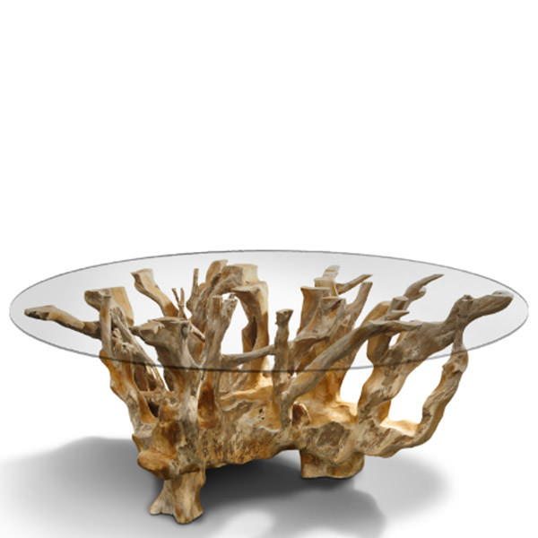Table basse bois racine