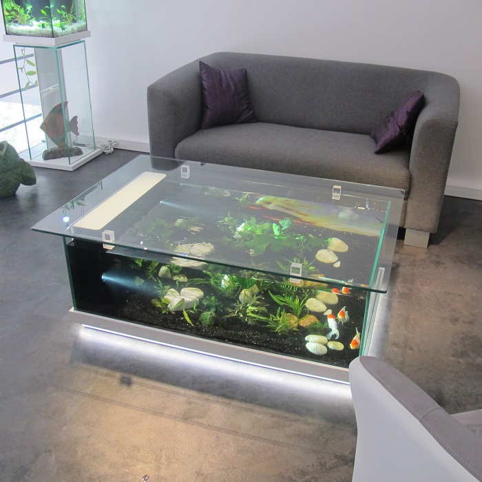 Table basse aquarium maxi zoo