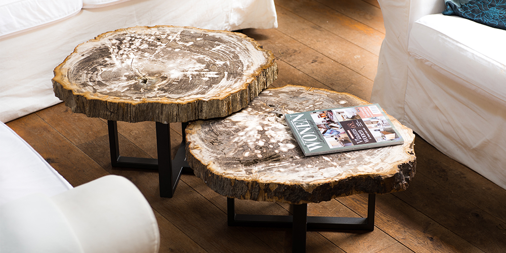 Table basse en bois petrifie