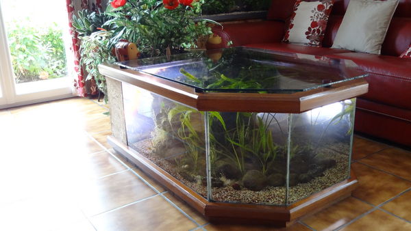 Table basse aquarium tuto