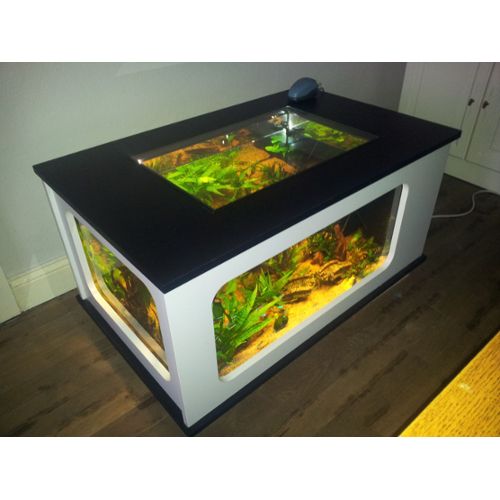Table basse aquarium rectangulaire