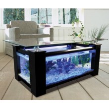 Table basse aquarium zen