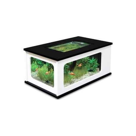 Site table basse aquarium