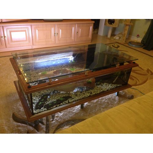 Table basse aquarium bois
