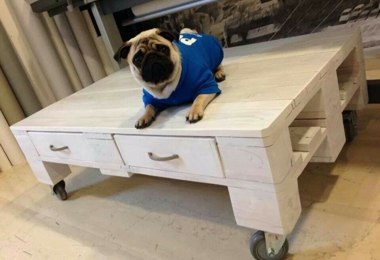 Bricolage avec palette table basse