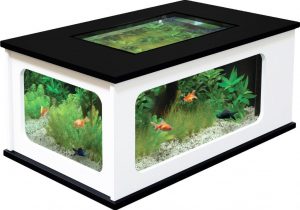 Table basse aquarium le bon coin