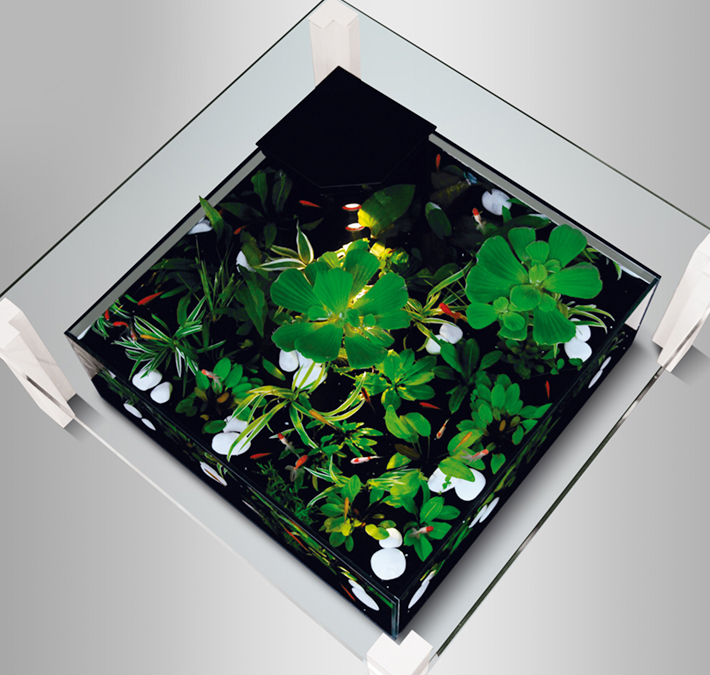 Table basse aquarium suisse
