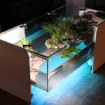 Avis sur table basse aquarium