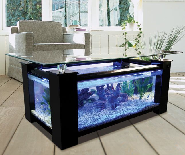 Table basse aquarium vitre