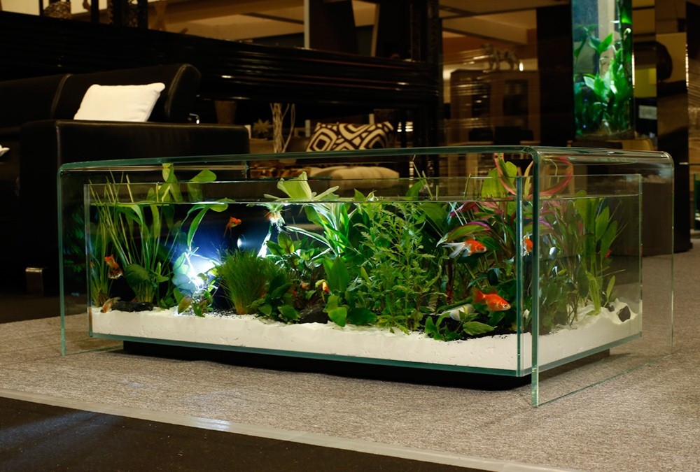 Table basse aquarium aquatlantis avis