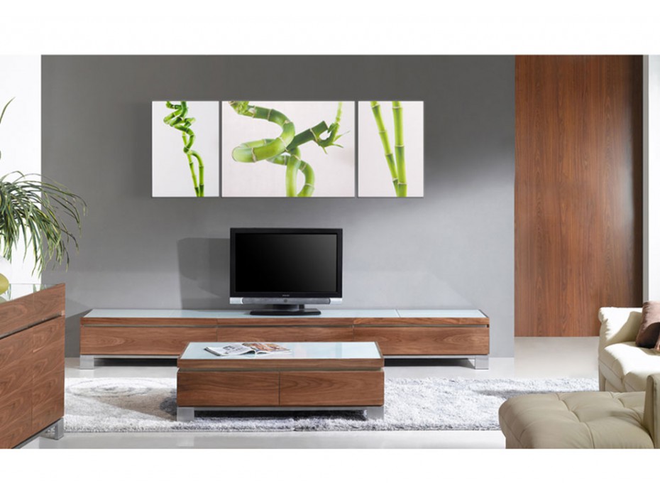 Ensemble meuble tv et table basse en bois