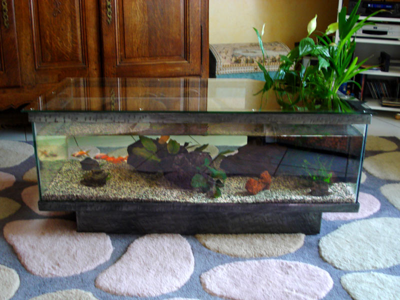 Table basse aquarium eau douce