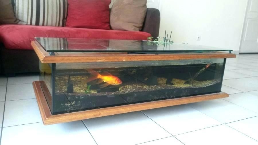 Aquarium table basse chene et wenge