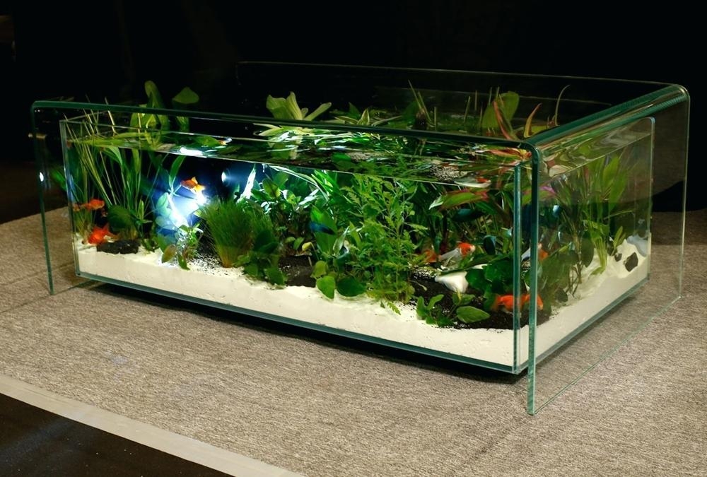 Achat table basse aquarium occasion