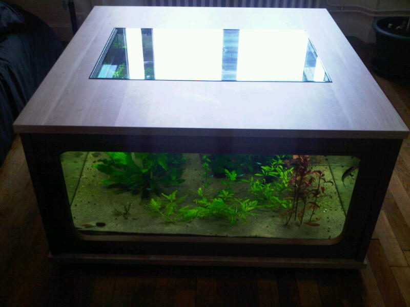 Aquarium table basse en bois