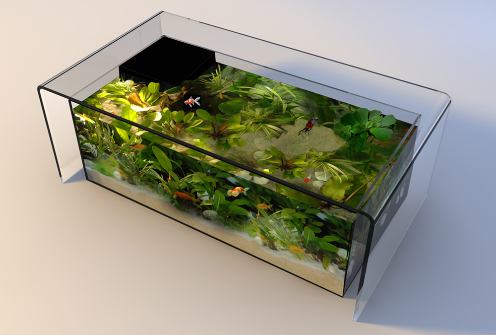 Table basse aquarium carre