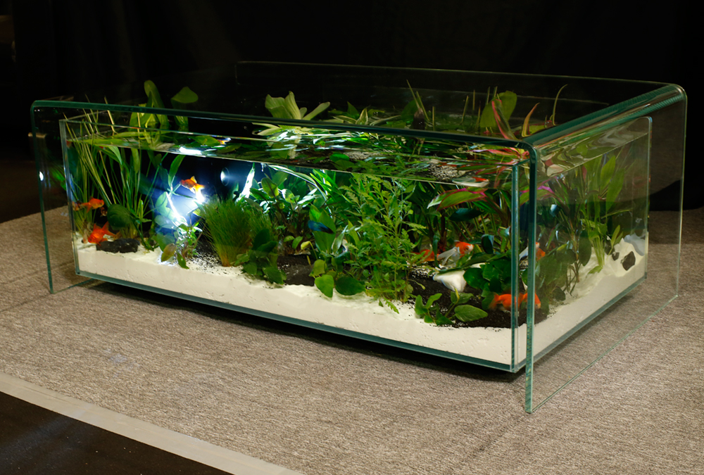 Table basse aquarium jebo