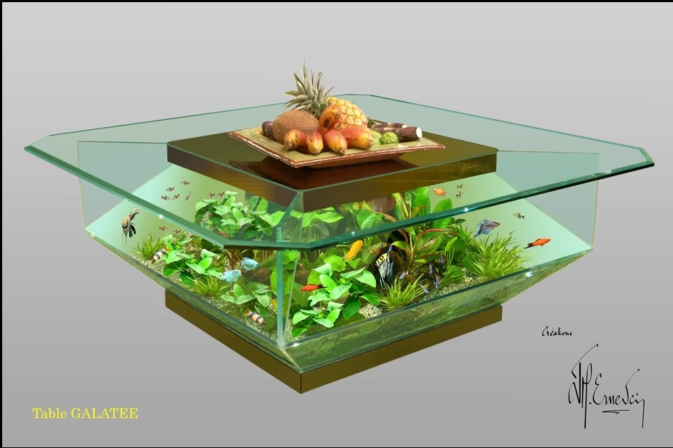 Table basse aquarium truffaut