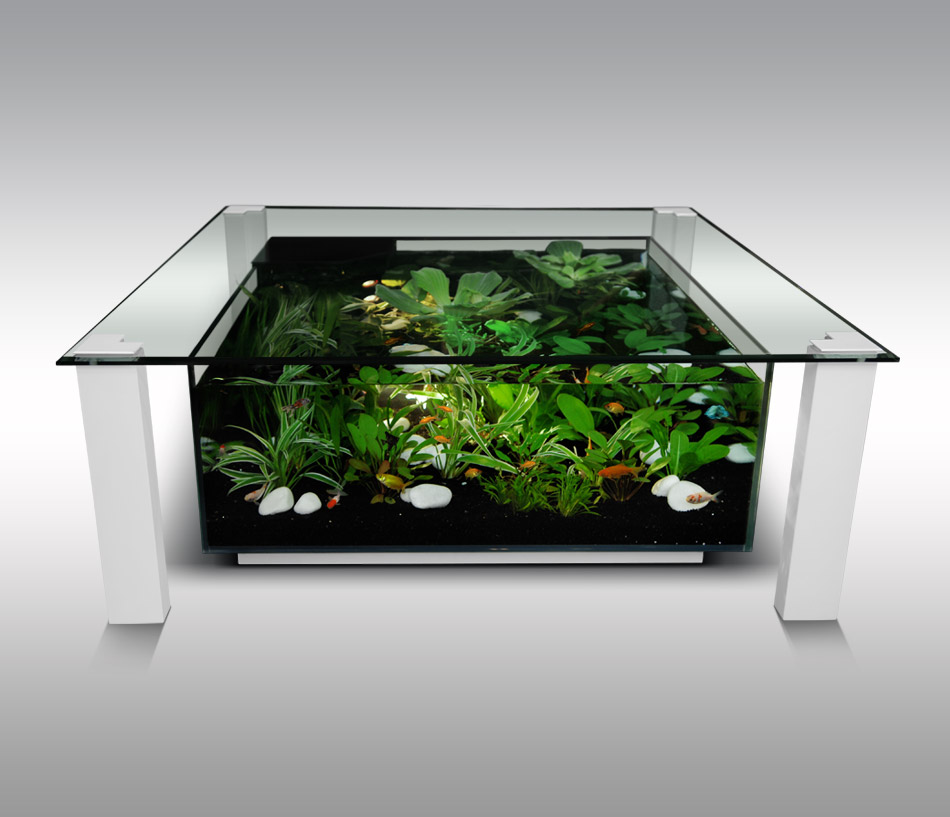 Table basse avec aquarium intégré