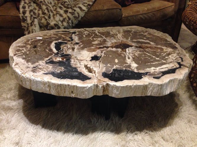 Table basse bois fossilisé