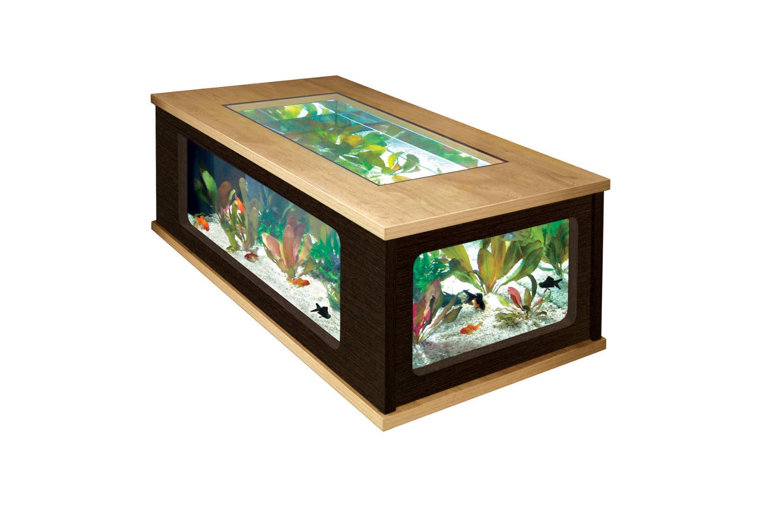 Table basse aquarium diy