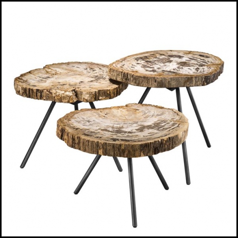 Table basse bois petrifie