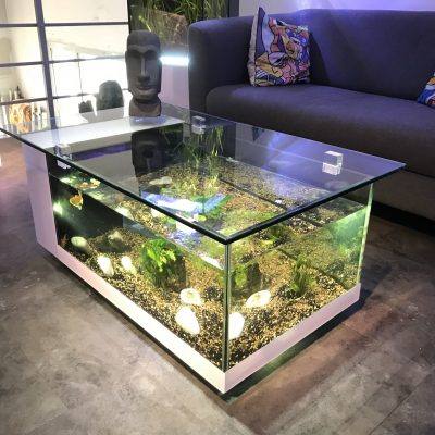 Table basse aquarium sur mesure