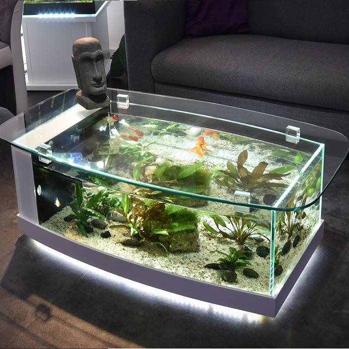 Table basse aquarium eau de mer