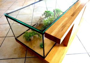 Neon pour table basse aquarium