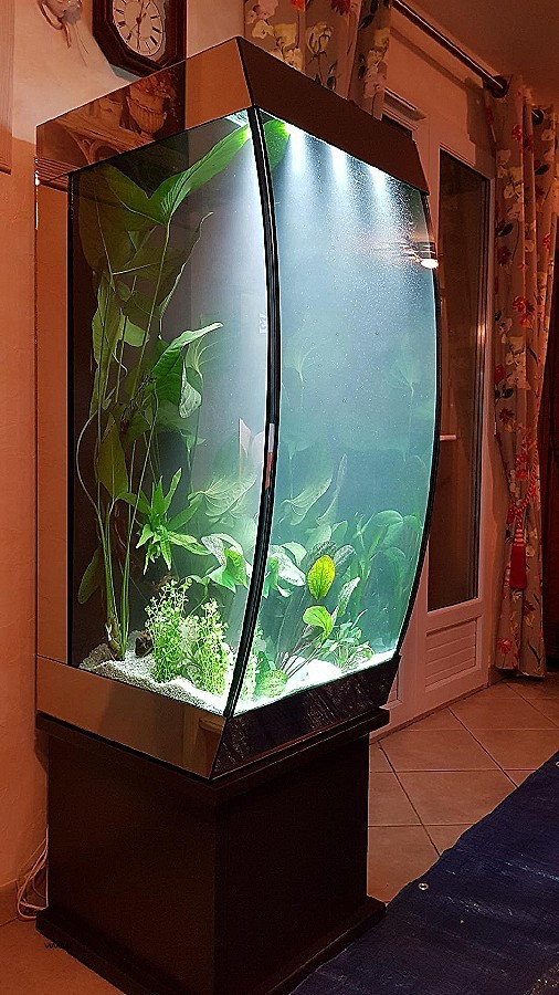 Table basse aquarium d'occasion