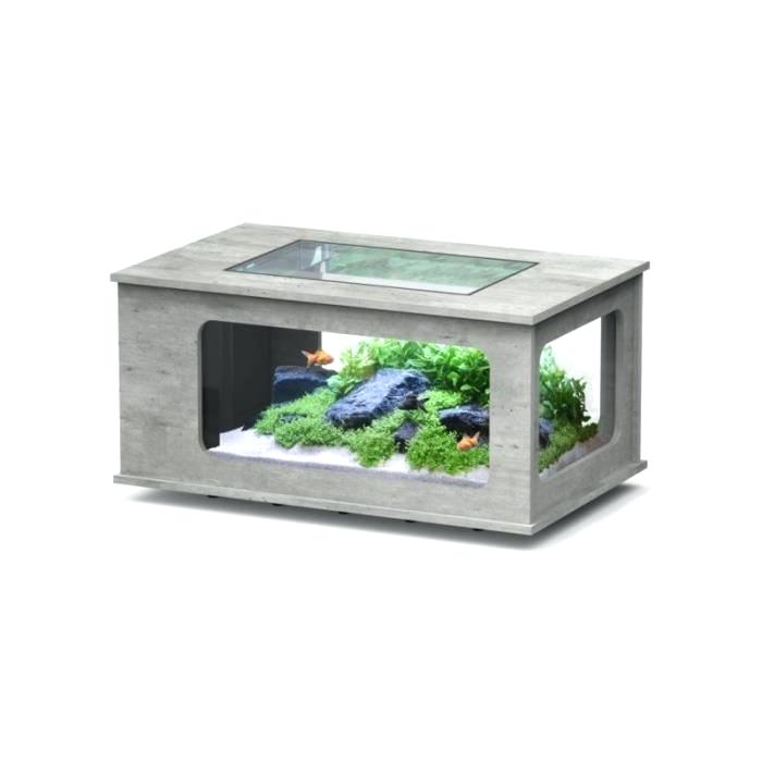 Recherche table basse aquarium occasion
