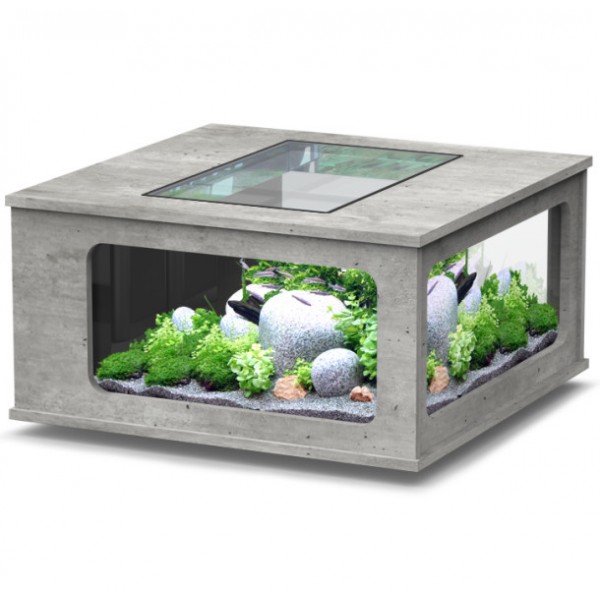 Table basse aquarium cdiscount