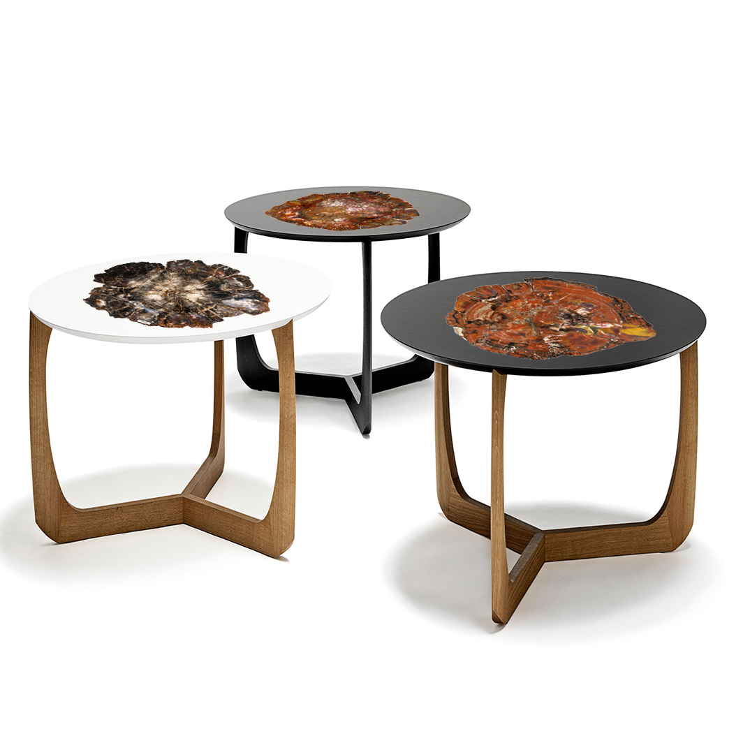 Table basse bois pétrifié
