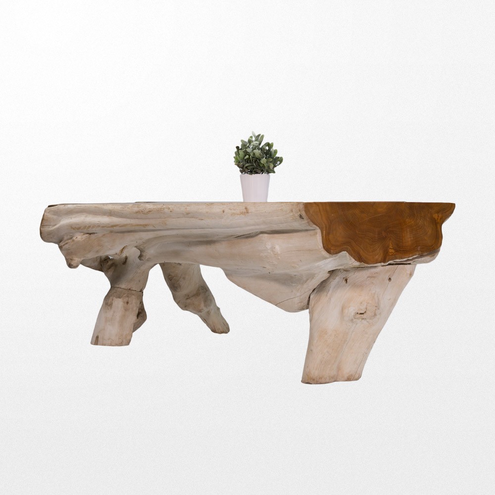 Table basse en bois racine