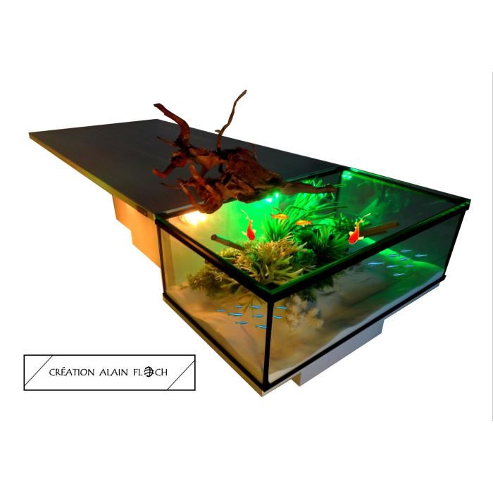 Faire une table basse avec un aquarium