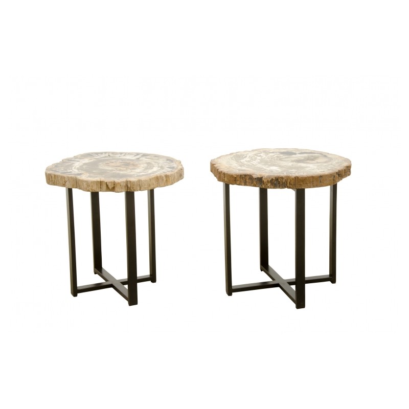 Table basse bois fossile