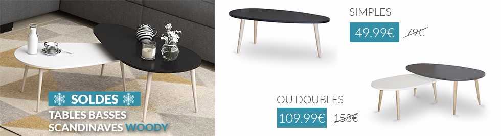 Table basse scandinave bon coin